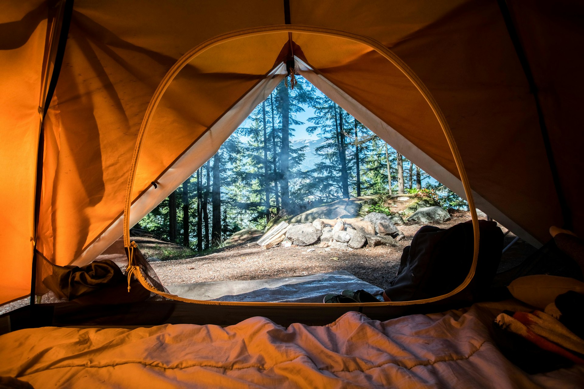 View from inside a tent looking out at the forest